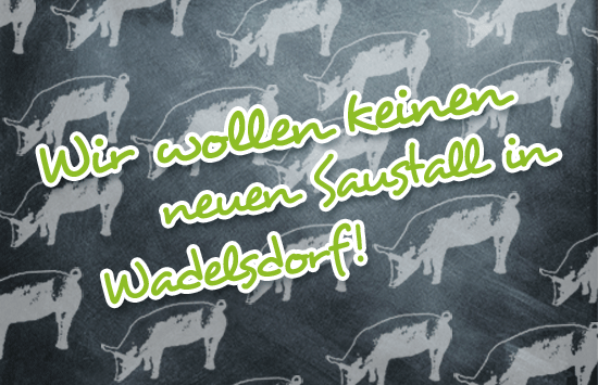 https://www.openpetition.de/petition/online/wir-wollen-keinen-neuen-saustall-in-wadelsdorf