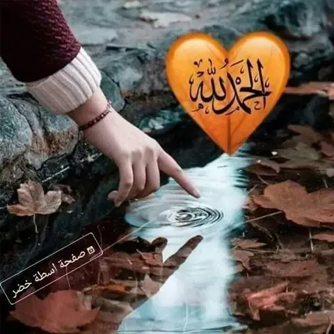 صور جميلة الحمدلله