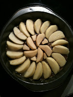 sliced apples arranged in the bottom of a round cake pan