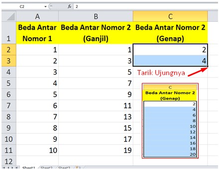 Cara Membuat Penomoran Otomatis Di Excel