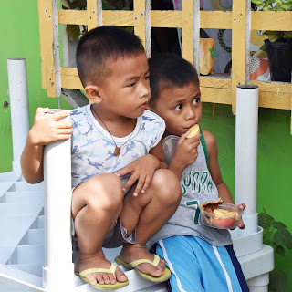 Small Filipino boys eating apples