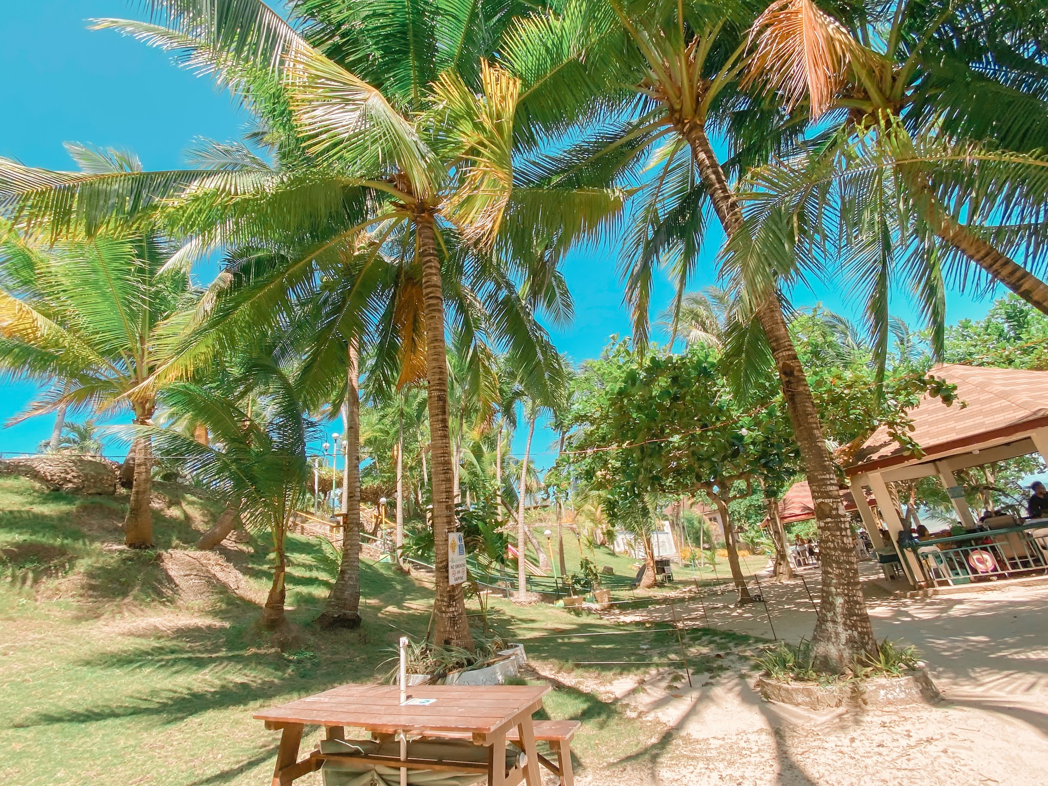 Elegant Beach Resort in San Remegio, Cebu