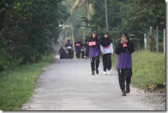Larian 1M1S1M 042