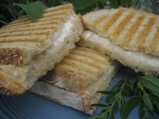 Goat Cheese Panini