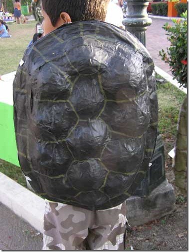 disfraz de tortuga (2)