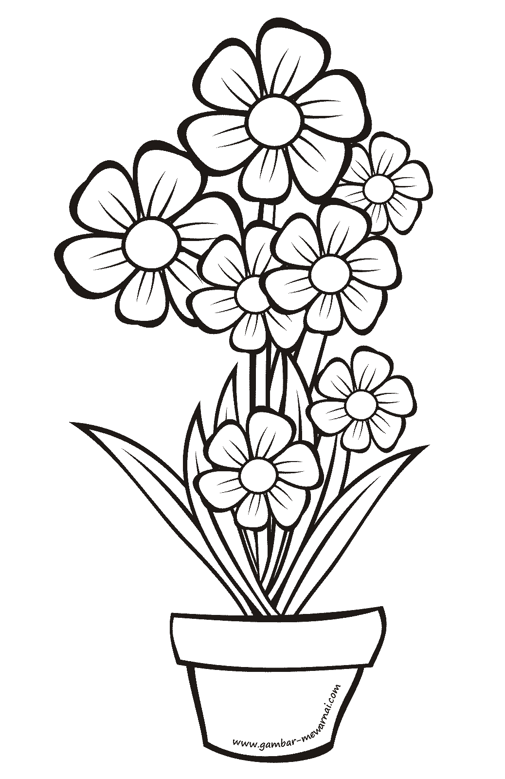 Kumpulan Gambar Sketsa Bunga Dalam Pot