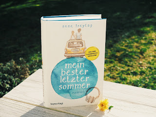 mein-bester-letzter-sommer-buch