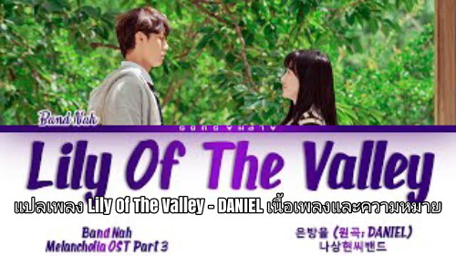 แปลเพลง Lily Of The Valley DANIEL