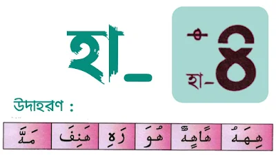 হা অক্ষর পরিচয়, হা এর পরিচয় ,হা ,ha Arabic letter