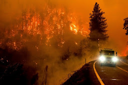 Sheriff Katakan 2 Orang Tewas dalam Kebakaran Hutan di California Utara 