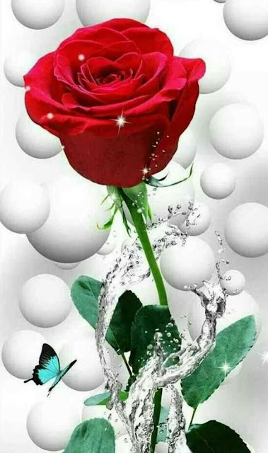 Rose Day Images For Whatsapp