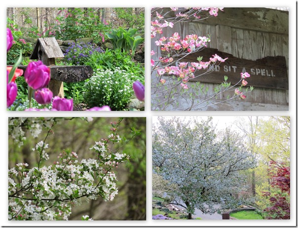 Spring time blessings1