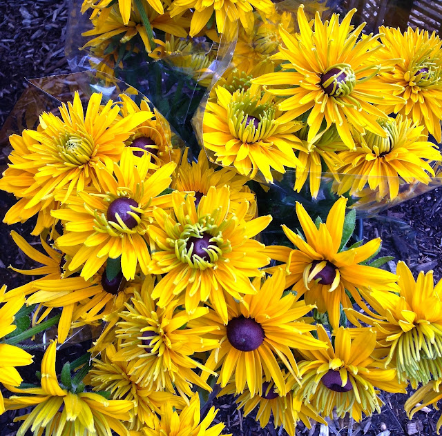 flowers_beautiful_rudbeckia_farmers_market