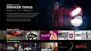 Seri Terbaru Netflix Januari 2021