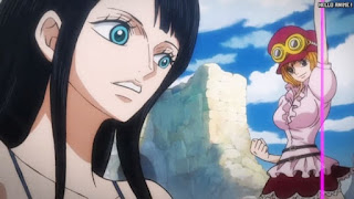 ワンピースアニメ 1044話 ロビン 革命軍 | ONE PIECE Episode 1044