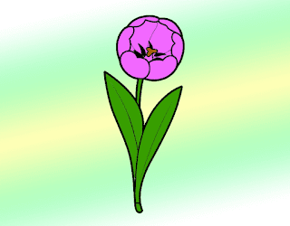 Tulip Flower Drawing