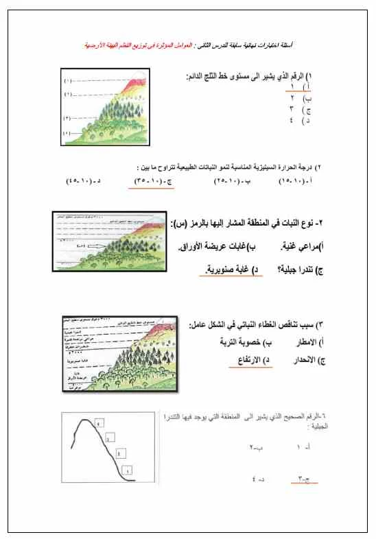 صورة من الملفات