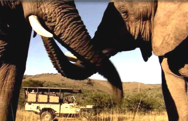 Nature and Adventure Tours in South Africa