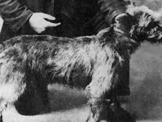 Trouve: Alexander Graham Bell's Dog Helps the Deaf Speak