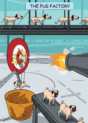 How Pugs Are Made - Funny Cartoon Seen On www.coolpicturegallery.net