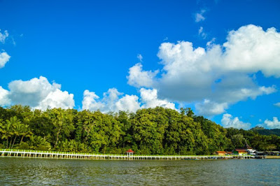 Menjelajahi Hutan Mangrove Kebumen