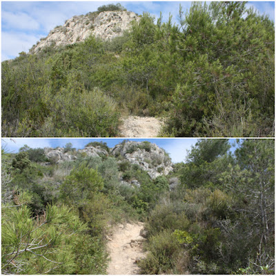 ALBINYANA - ERMITA SANT ANTONI - PUIG DE SANT ANTONI, camí de pujada en direcció al Puig de Sant Antoni