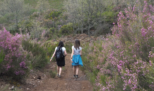 Dos chicas caminando entre matorrales con flores