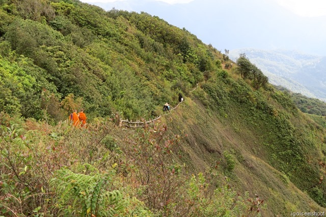 Hiking the Kew Mae Pan nature trails at Doi Inthanon National Park