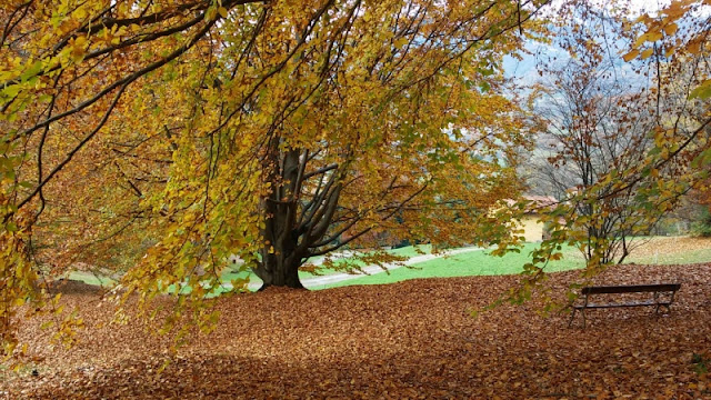 Parco Burcina IN AUTUNNO