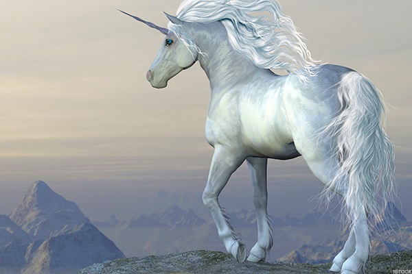tekboynuz (unicorn)