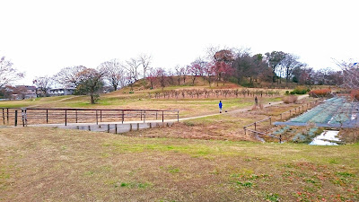 ハレマチビヨリ(藤井寺市)