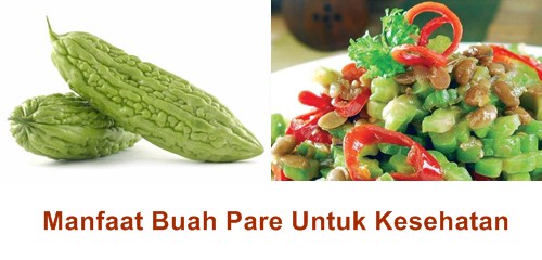 manfaat buah pare untuk kesehatan