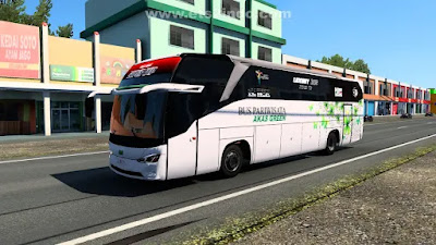 Traffic Bus Pack ETS2 - Akas Green
