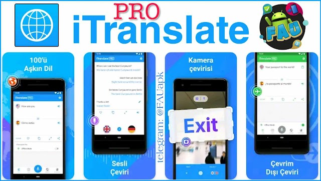 iTranslate Pro