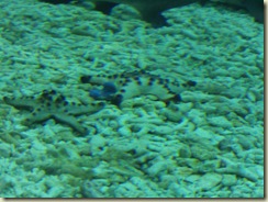 FILE0161
