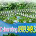 Mở bán KDC ven sông - Long Phước, quận 9 nơi tận hưởng cuộc sống an lành của bạn. LH: 090.949.3883