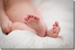 San Diego Newborn Photographer (4 of 8)
