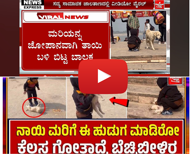 Viral News: Boy and baby dog's viral video/Kannada viral news updates