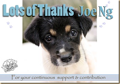 Thank you Joe