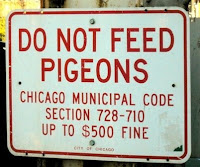 Do Not Feed Pigeons sign Chicago