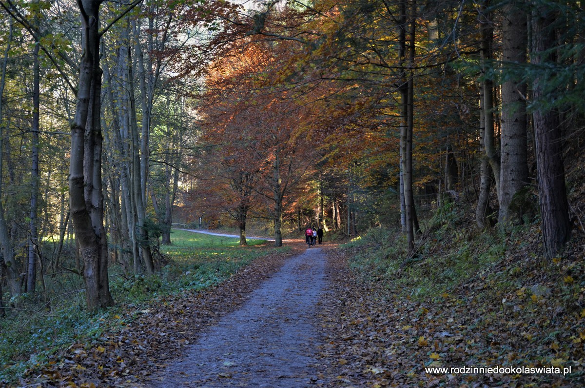 Ze-Sromowiec-do-Szczawnicy-rowerem