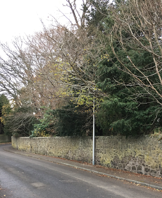 Obscured street light in Cedar Road in Broughty Ferry