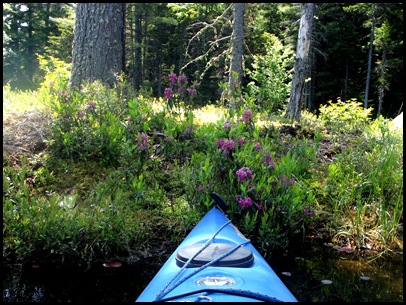 Lowel Lake (288)