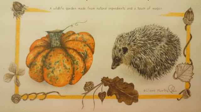 Wildlife Garden Blog Kent : Drawing of a hedgehog in the garden.