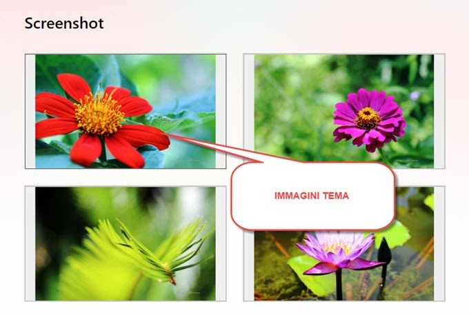 screenshot-immagini-tema