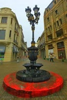 IMG_7568
