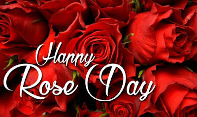 Happy Rose Day Images