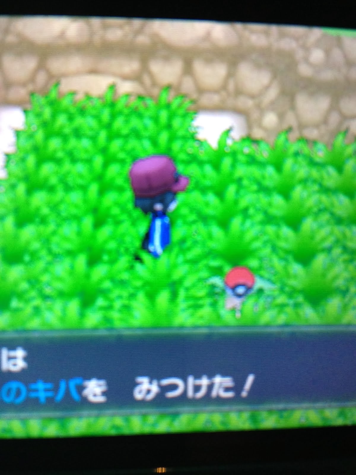 ポケモン するどいつめ イメージポケモンコレクション