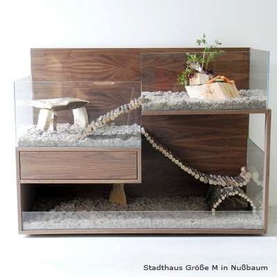 Luxurious Rodent Home Seen On www.coolpicturegallery.us