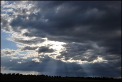 cielo